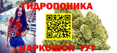 ALPHA PVP Обь