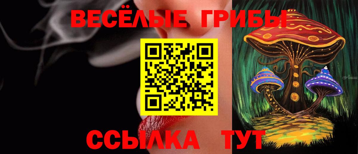 Петропавловск-Камчатский  Псилоцибиновые грибы Psilocybine cubensis  Вход с VPN 